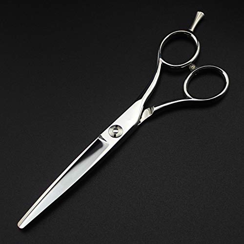 Ciseaux de coiffure Japon 440C de 6 pouces de qualité supérieure