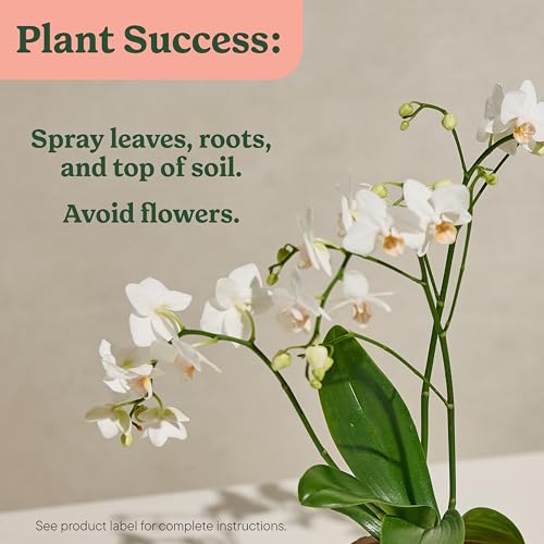 Miracle-Gro Water Soluble All Purpose Plant Food, 5 lbs. (6-Pack) - image 7