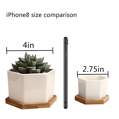 Oamceg 4 Pack Succulent Plant Pots 4 Inch Succulent Planters, Set Of 4 White Ceramic Succulent Cactus Plant Pots With Bamboo Tray(Plants Not Included) #TOP2