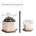 OAMCEG 6 Pack 4 Inch Succulent Pots - Small Succulent Planters, Set of 6 White Ceramic Succulent Cactus Plant Pots with Bamboo Tray(Plants NOT Included)