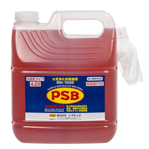 V}ebN PSB 򉻉h{׋ 4.2L