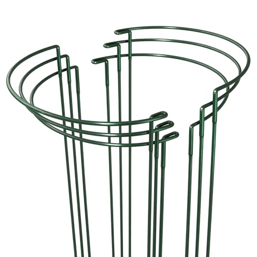 Bamworld 6 Pack Half Round Plant Support Stakes Sets Strong Versatile Peony Cages and Supports Plant Support Ring for Indoor and Outdoor Plants Such as Peonies Tomatoes Roses Flowers