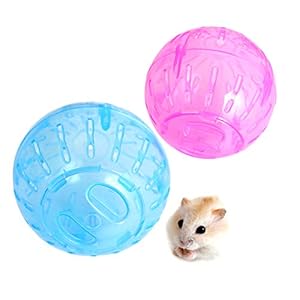 RoadLoo Hamsterbal, 2 stuks, 12 cm, kunststof, hamster, fitness, bal, draagbaar, transparant, hamster, mini-bal, nieuwe oefening, gezond, veilig, voetbal, kleine dieren, speelgoed, knopen voor
