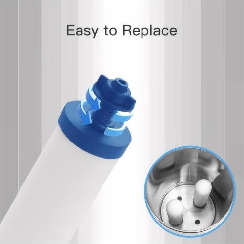Image of 7 inch Ceramic Fluorine Filter, Replacement Filters for ProOne G2.0 Filters, ProOne Big+ or Big II Countertop Gravity Water Filter System and FACHIOO King Tank Series(Pack of 4)