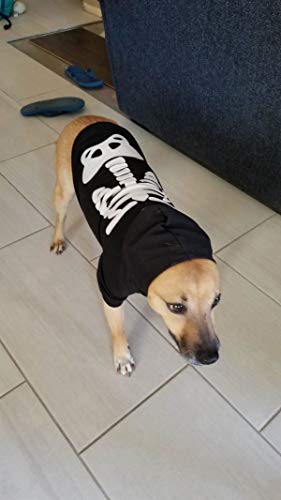 Impoosy Pet Dog Cat Halloween Skeleton Hoodies Glowing Skull Cute Shirt Puppy Kitteen Costumes Bones Clothes (S) #TOP4