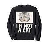 I'm Not A Cat Lawyer Cat Filter Meme Funny