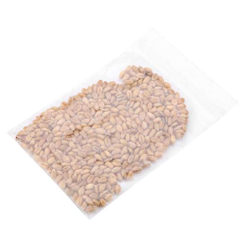 Kit de cultivo de grama de gato, 2 pacote de incubadora de solo de sementes orgânicas simples e rápi