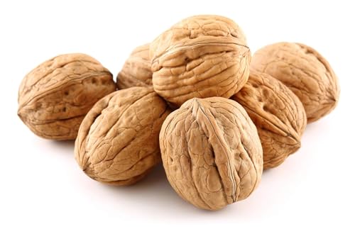 Image of Premium Natural Walnuts in Shell 48 Oz Walnuts in Shell, Jumbo, Fresh, Buttery Taste, Easy to Crack, California, Natural Shells, Kosher, 3 Lbs