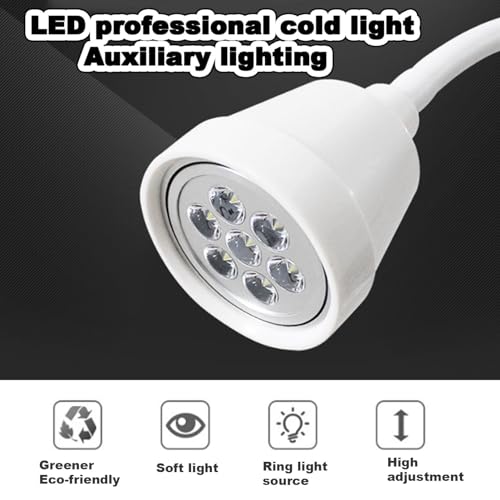 Mobilna lampa LED do badań ginekologicznych, obracana o 360°, lampa stojąca, z regulacją wysokości, dla zwierząt domowych, dodatkowe oświetlenie chirurgiczne do klinik.