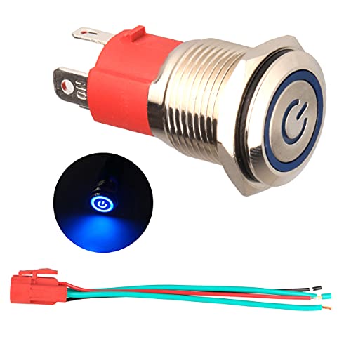 GUUZI 220 V / 15A Interruptor de Botón de Enclavamiento NO, Luz LED Azul Impermeable Iluminada 19mm Botón de Encendido de Metal con Cable de Enchufe