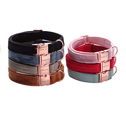 ARING PET - Collare e guinzaglio per cani, collare...