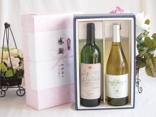 ӂ̑蕨{bNX YbBhCƍYCZbg(VC}XJbg100C Ì(R)750mlV R750ml(JsΘaR_YbB)
