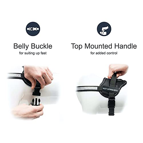 Image of 24x7 eMall Dog Harness Dog Not Gonna Bite Vest Loop Straps and Handle and Adjustable (XL- 28-38 Inch Girth)