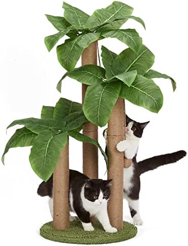 31.5Inch Cat Scratching Post,Cat Scratcher Tree with 3 Scratching...