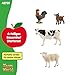 schleich FARM WORLD | Bauernhof Starterset 42729 | Spielset mit Ziege, Kuh, Schaf & Hahn | detailgetreue Tierfiguren & Sammelfiguren | Bauernhof Spielzeug ab 3 Jahren | schleich Tiere Set aus 4 Teilen