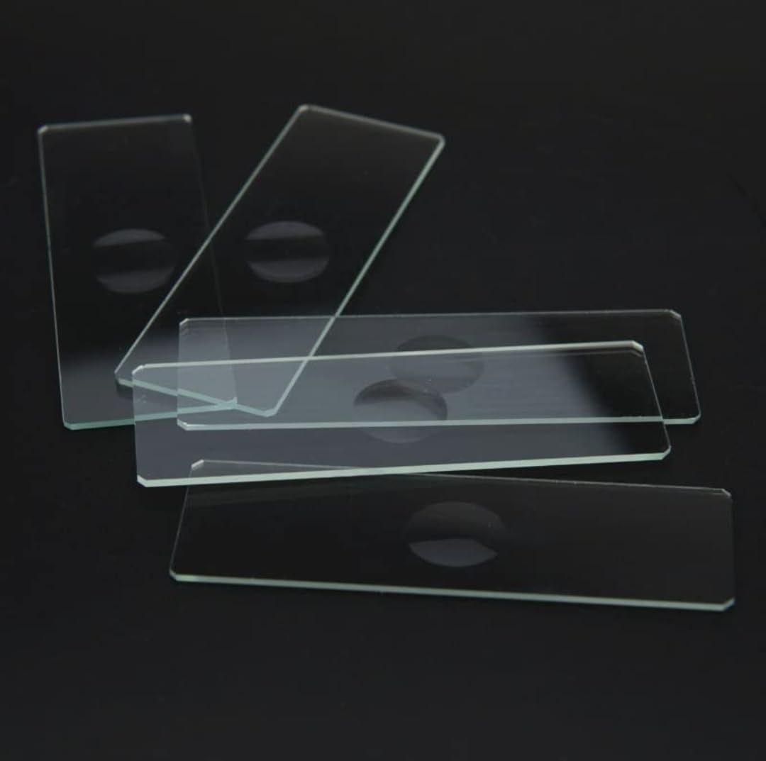 Microscope Glass Cavity Slide 75 x 25 x 1.5mm Pack of 10 (One con-cavity) (B0D427332R) Amazon Price History, Amazon Price Tracker