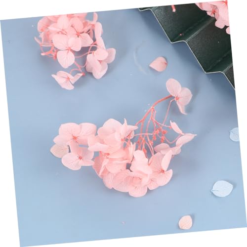 BESTOYARD paquete de pétalos de hortensia seca natural para artes miniatura 4