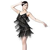 Leemiman Women Squins Fringe Tassel Flapper Dress Sexy Latin Dance Dress Ballroom Salsa Rumba Dance Costumes (Black-Silver)