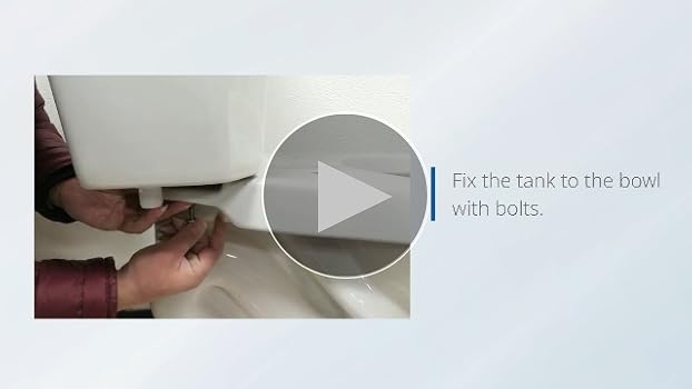 Tammy 2台セット 17 ZONE INDUSTRY CORP. 2-inch Dual Flush Valve, Push Button