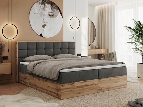 MKS MEBLE Boxspringbett 160x200 mit Bettkasten Holz Holzrahmen, Boxbett 160x200 mit Matratze H3 und Kopfteil - Grau Samt - Albero-1 MKS MEBLE Boxspringbett 160x200 mit Bettkasten Holz Holzrahmen, Boxbett 160x200 mit Matratze H3 und Kopfteil - Grau Samt - Albero-1