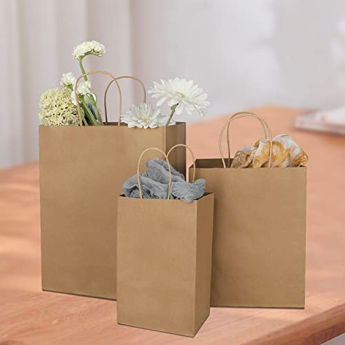 Toovip 90 Pack Plain Brown Kraft Paper Bags With Handles Bulk, Multiple 3 Assorted Sizes Gift Bags thumb #4