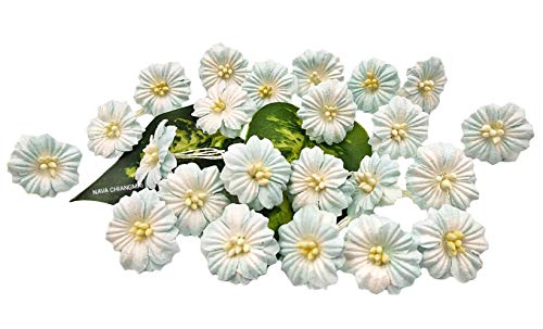 NAVA CHIANGMAI Sakura Cherry Blossom Mulberry Paper Flower (No Wire stem) Craft Flowers, Artificial Flowers, Scrapbookig Paper Flowers,Decorative Flowers for Crafts. (Blue)