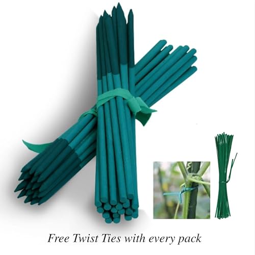 Image of BLOOMAX Hardwood Plant Support Sticks, Lengths-2 ft /14mm, Pack of-12 pcs- with Free Twist Ties