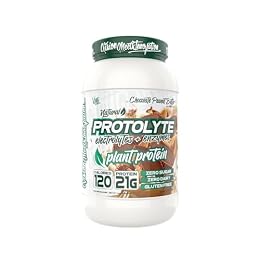 Protolyte Natural Plant Protein by VMI Sports with Electrolytes and Enzymes | Zero Sugar – Zero Dairy – Gluten Free | 20 G Protein + 10.5 G of EAAs (25 serving, Chocolate Peanut Butter)