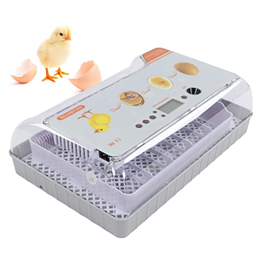 BAOFUYA Vollautomatische Ei-Inkubation 20 Ei-Inkubator-Tablett Digitale Ei-Brutmaschine zum Ausbrüten von Hühnern, Eiern… – Bild 8