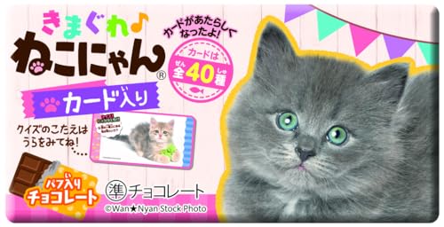 正栄デリシィ きまぐれねこにゃん 1枚 ×20個のサムネイル