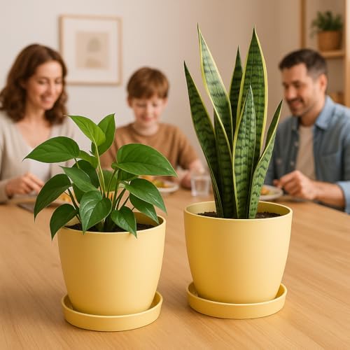 Home Garden Ornaments Plant Pots Indoor, Indoor Plant Pot - Decorative Flower Pots with Mat Surface and Plant Pot Saucer (Diameter: 18cm, Colour: Yellow)