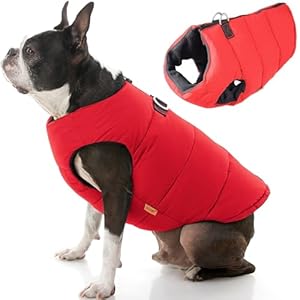 Gooby Padded Vest Dog Jacket – Solid Red, Small – Warm Zip Up Dog Vest Fleece Jacket with Dual D Ring Leash – Winter Water Resistant Small Dog Sweater – Dog Clothes for Small Dogs Boy and Medium Dogs