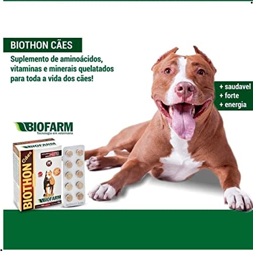 Biothon Caes 100 Comprimidos Biofarm