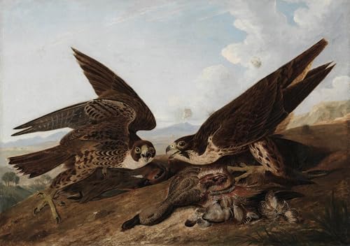 Peinture murale Faucons pèlerins John Audubon pour salon nordique chaleureux