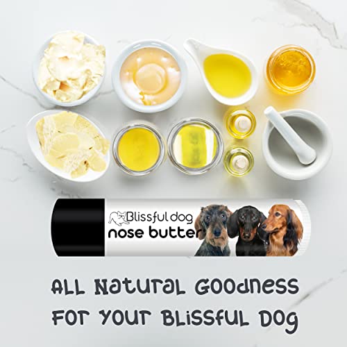 Image of The Blissful Dog Dachshund Nose Butter, 0.15-Ounce