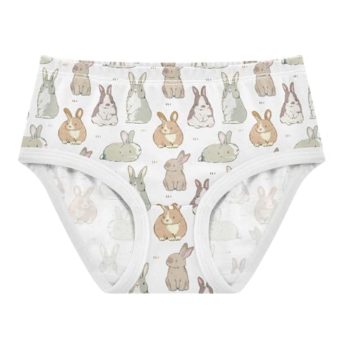Little Girl Underwear Toddler Panties Kids Undies Rabbit Cartoon Soft Cotton Briefs 2T-8Y