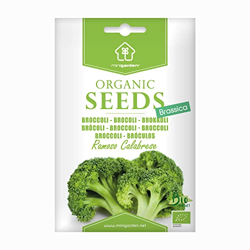 Brocoli 'Ramoso Calabrese', Graines certifiées biologiques prêt à Pousser Minigarden, 100% Naturelles sans Propagateurs Chimiques ni Génie Génétique, inclut entre 300 et 350 graines
