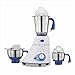 Preethi Blue Leaf Gold 750 Watt Mixer Grinder