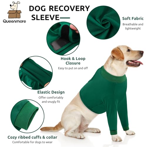 Image of Queenmore Dog Recovery Suit for Front Legs, Adjustable Dog Leg Sleeves to Stop Licking, Breathable Recovery Sleeve for Large Breeds, Wound Care for Pets, Green, L