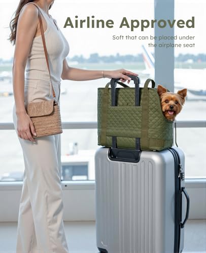 pecute Hundetasche für Kleine Hunde 4kg, Tragetasche Hund Hundetragetasche Leichte, Faltbare Hundetransportbox, Katzen Transporttasche für Unterwegs (Dunkelgrün)