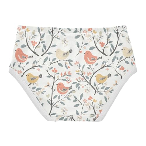 ZZKKO Birds Tree Leaves Floral Girls Underwear Toddler Panties for Girls Comfort Brief Size 2-8T2