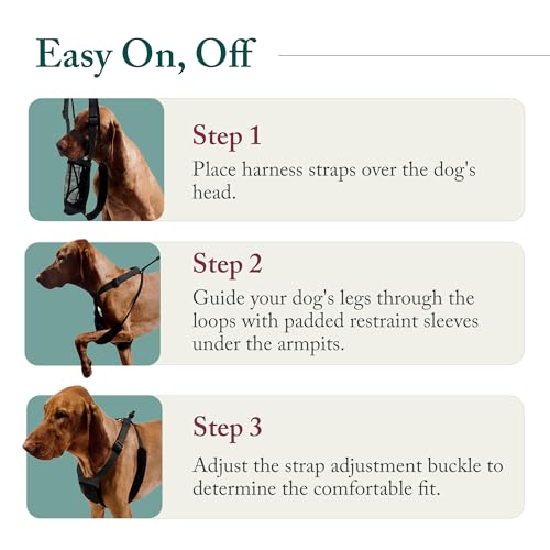 Sporn No Pull Dog Harness, Durable Nylon Mesh Harness for Medium Dogs, No Choke Design, Padded Restraint Sleeves, Adjustable Fit, Easy On/Off, Ideal for Medium Breeds, Red - Image 6