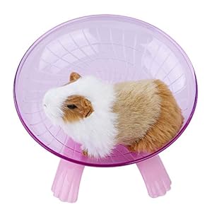Hamsterwiel, kunststof Doorschijnend Hamster Oefenwiel Stille spinner Oefening Loopwiel Hamster Looprol Vliegende schotel voor chinchilla’s Gerbils Guinee(pink)