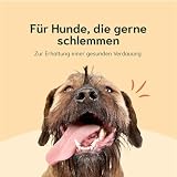 Chōmi Dog Super Sausage Fresh Hundefutter | Nassfutter Für Hunde | Gemüsewurst für Hunde | Adult | Getreide- und konservierungsmittelfrei | Mit Seetang | Barf (400 x 8g, Chicken)