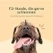 Chōmi Dog Super Sausage Fresh Hundefutter | Nassfutter Für Hunde | Gemüsewurst für Hunde | Adult | Getreide- und konservierungsmittelfrei | Mit Seetang | Barf (400 x 8g, Chicken)