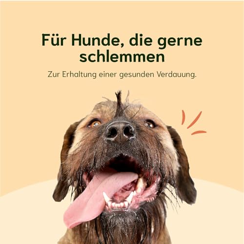 Chōmi Dog Super Sausage Fresh Hundefutter | Nassfutter Für Hunde | Gemüsewurst für Hunde | Adult | Getreide- und konservierungsmittelfrei | Mit Seetang | Barf (400 x 8g, Chicken)