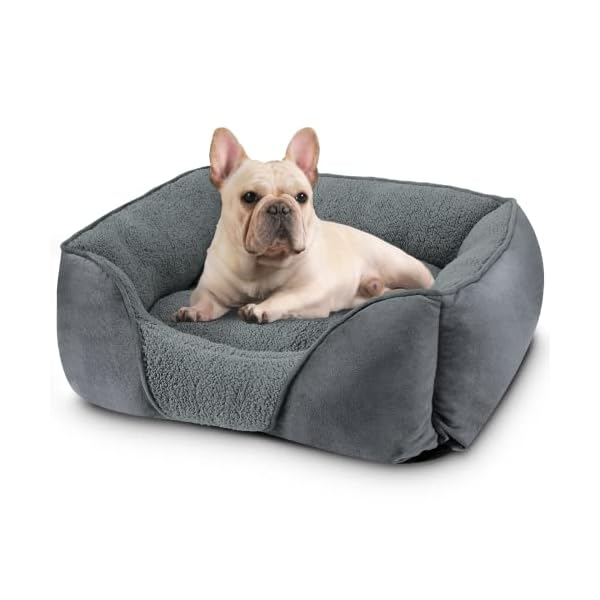 FURTIME-Small-Dog-Beds-for-Small-Dogs-Washable-Dog-Bed-Orthopedic-Rectangle-Puppy-Pet-Bed-Durable-Calming-Dog-Sofa-Bed-Soft-Sleeping-with-Anti-Slip-Bottom-S-20x19x6 FURTIME-Small-Dog-Beds-for-Small-Dogs-Washable-Dog-Bed-Orthopedic-Rectangle-Puppy-Pet-Bed-Durable-Calming-Dog-Sofa-Bed-Soft-Sleeping-with-Anti-Slip-Bottom-S-20x19x6