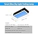 FYDRCC Smart Blue Sky Light Ceiling Lamp, Clear Sky Light, Sunlight Lamp, Natural Light Skylight, Simulate a Sunlight Irradiation Room, Living Room, Office (1x2FT) A