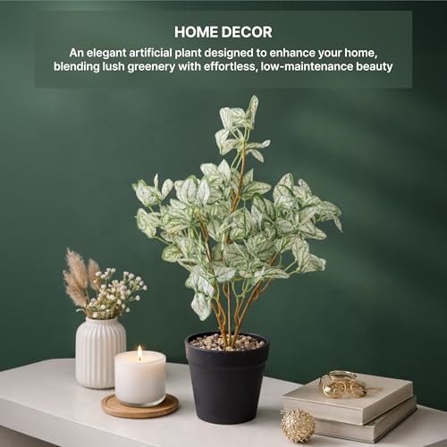 Image of Habere India-All the Cultures Fabricating India Arrowhead Artificial Plant with Pot for Home Decor | Small Fake Flower Plants for Living Room & Indoor Decoration (Design04: L9 x W9 x H40 cm)