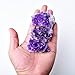 WUYOUSHI Natural Amethyst Crystal Cluster Healing Stones Raw Amethyst Rock Healing Crystals Energy Balance Reiki Meditation and Spiritual Growth (1Pc 0.16-0.22 LB)